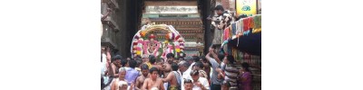 223. திருமுதுகுன்றம்